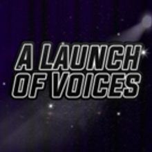 New Musical Theatre Company Launching at Riverside Theatres