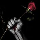 ROMEO AND JULIET, 'MIDSUMMER', RICHARD II and THE DEATH OF KINGS Coming Up This…