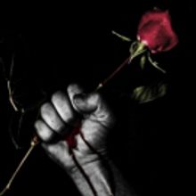 ROMEO AND JULIET, 'MIDSUMMER', RICHARD II and THE DEATH OF KINGS Coming Up This Month