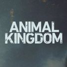 TNT Orders Third Season of Hit Original Drama Series ANIMAL KINGDOM