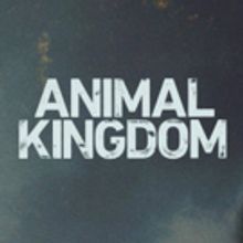 TNT Orders Third Season of Hit Original Drama Series ANIMAL KINGDOM