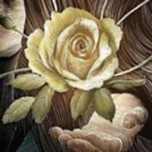 BWW Review: UPROOTED by Naomi Novik