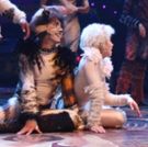 National Tour of Andrew Lloyd Webber's CATS Will Launch at PPAC January 2019