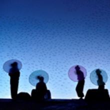BWW Review: MADAMA BUTTERFLY at The Israeli Opera