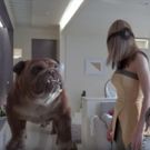 VIDEO: New INHUMANS Featurette Gives Fans First Look at IMAX Experience