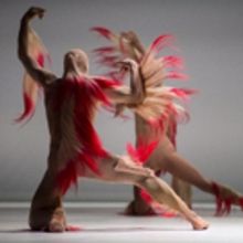 Charlie Le Mindu's First Foray Into Ballet Costume Design Breaks All Convention 