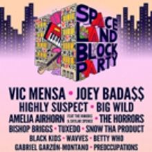 Spaceland Block Party Expands Lineup, Announces Daily Lineups