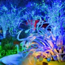 Tickets on Sale Oct. 1 for GARDEN LIGHTS, HOLIDAY NIGHTS at the Botanical Garden