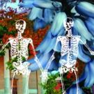 HALLOWEEN HARBOR Brings Fun and Frights for All this Month