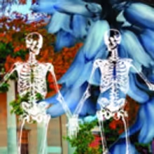 HALLOWEEN HARBOR Brings Fun and Frights for All this Month