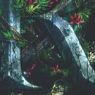 BWW Cover Reveal: THESE REBEL WAVES by Sara Raasch
