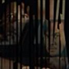 Detective Thriller DISTORTION is Official Selction at 13th Annual La Femme Film Festival