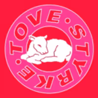 Tove Styrke Debuts New Single 'Mistakes' Video