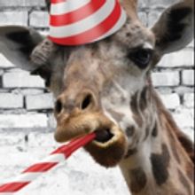 Stage West presents Community Building Event M.A.D.E.