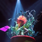 Photo Flash: First Look LITTLE SHOP OF HORRORS at Fulton Theatre