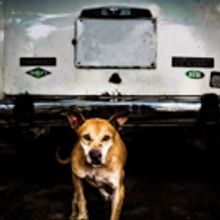 THE DARK ROOM to Make UK Premiere at Theatre503