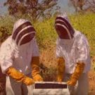 Racquet Club Drops Video for 'Head Full of Bees' Off Self-Titled Debut Album