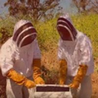 Racquet Club Drops Video for 'Head Full of Bees' Off Self-Titled Debut Album Video