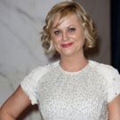 Amy Poehler & More to Bring New Comedy Series to Netflix