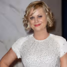 Amy Poehler & More to Bring New Comedy Series to Netflix