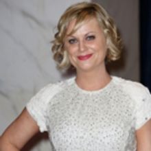 Amy Poehler & More to Bring New Comedy Series to Netflix