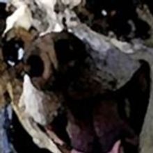 Bridge Street Theatre presents HOW TO PRAY, 9/14-24