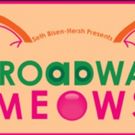 Seth Bisen-Hersh, Celia Mei Rubin, and More Announced for 9th Annual BROADWAY MEOWS