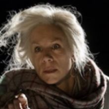 BWW Review: WINGS, Young Vic