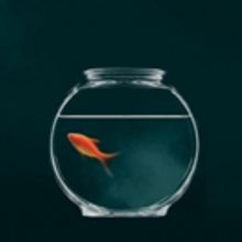 Amy Herzog's MARY JANE Extends at New York Theatre Workshop