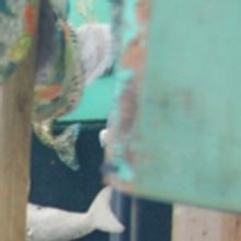 The Grand 1894 Opera House Announces Halloween Events!