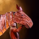 BWW Review: WAR HORSE, The Marlowe Theatre, Canterbury