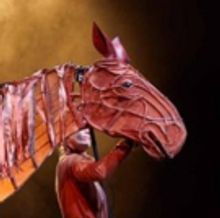 BWW Review: WAR HORSE, The Marlowe Theatre, Canterbury