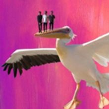 EDINBURGH 2017: BWW Q&A- The Cat Man Curse