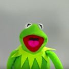 VIDEO: Sean Spicer, Donald Trump Jr. & More Audition to Voice Kermit the Frog