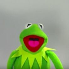 VIDEO: Sean Spicer, Donald Trump Jr. & More Audition to Voice Kermit the Frog