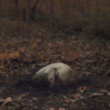 NYC Ballet Principals Set for Private, Immersive Dance Event CHRYSALIS in Brooklyn