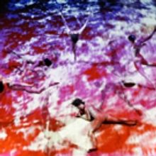 LEIMAY Unveil World Premiere of FRANTIC BEAUTY at BAM