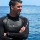 PHELPS VS. SHARK: GREAT GOLD VS. GREAT WHITE Is Shark Week's Highest Rated Telecast Ever