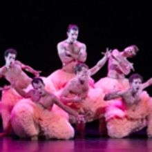 EDINBURGH 2017: BWW Review: TUTU: DANCE IN ALL ITS GLORY, Pleasance Courtyard