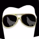 ATTACK OF THE ELVIS IMPERSONATORS to Leave the Building This Month