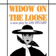 Lynn University Announces Jan McArt's New Play Readings Series 2017-18