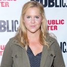 Breaking: Amy Schumer, Laura Benanti, Keegan-Michael Key, and Alan Tudyk to Lead…