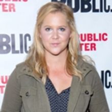 Breaking: Amy Schumer, Laura Benanti, Keegan-Michael Key, and Alan Tudyk to Lead Stev