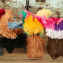 Nick Cave and Jeanne Gang Join Forces for the First Time to Debut HEAR HEAR CHICAGO