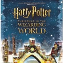 HARRY POTTER-Themed Holiday Experience 'Christmas in the Wizarding World' Premieres…