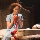Original Star Ashley Shaw to Lead Matthew Bourne's THE RED SHOES at the Ahmanson