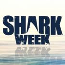 Charlize Theron & More Set for Return of SHARK AFTER DARK on Discovery
