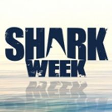 Charlize Theron & More Set for Return of SHARK AFTER DARK on Discovery