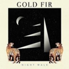 Gold Fir Release Video for Debut Single 'Night Walk; via +1 Records