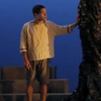 BWW Review: ACT's Stirring ALEX & ARIS Relies Too Much on Advance Knowledge Photo